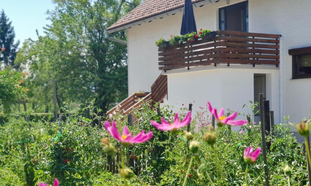 Apartment Murva Dreznik Grad Екстер'єр фото